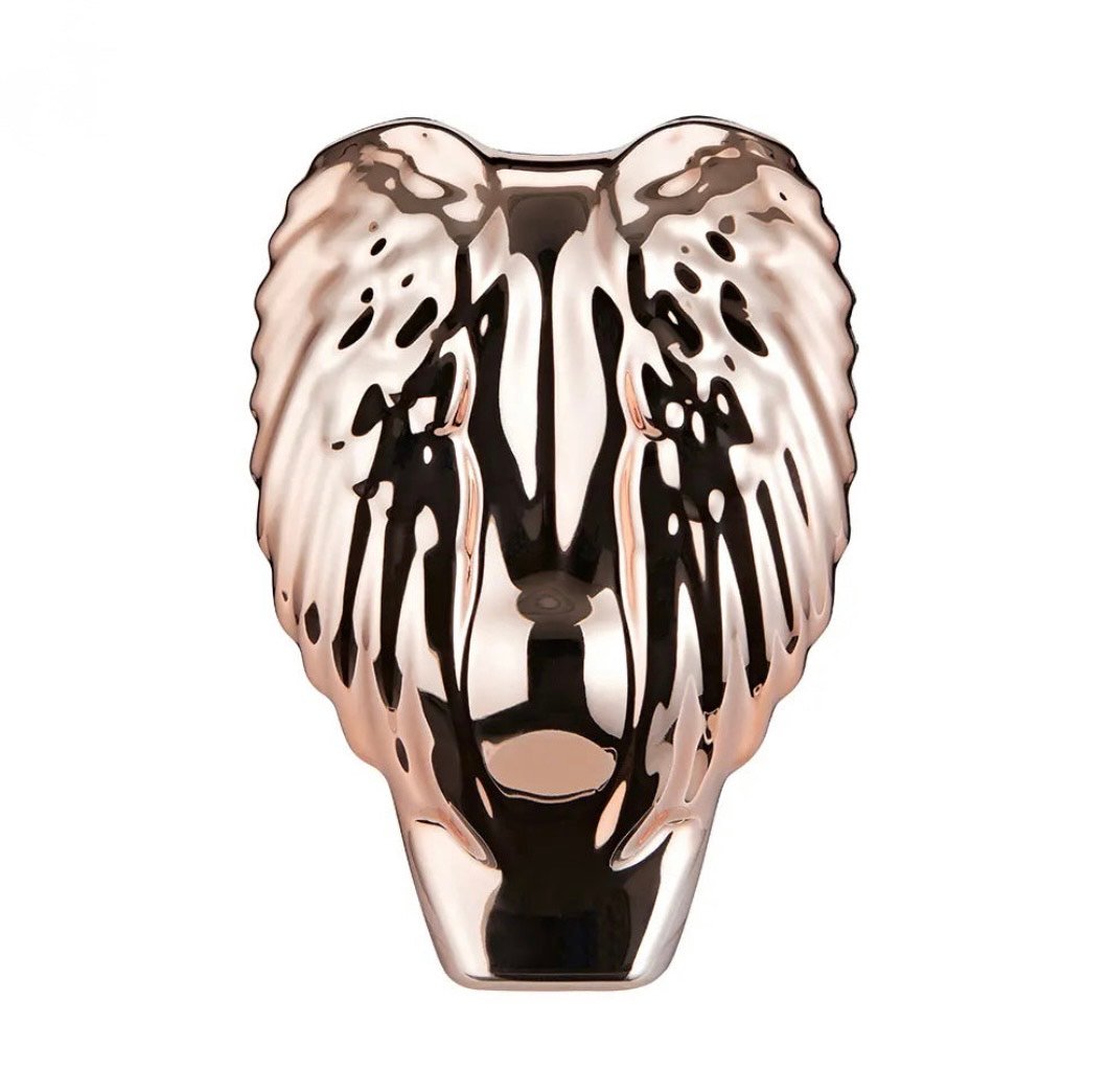 IMG_1135 Tangle Angel Pro Compact - Image 1